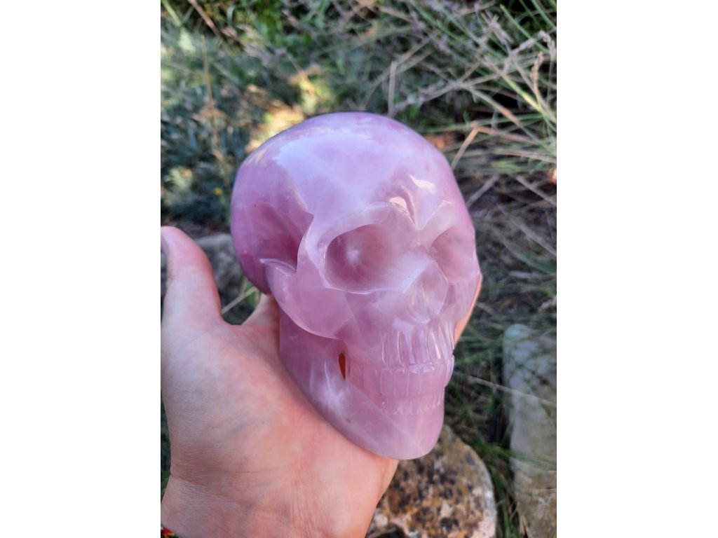 Skull Rose quartz 11cm