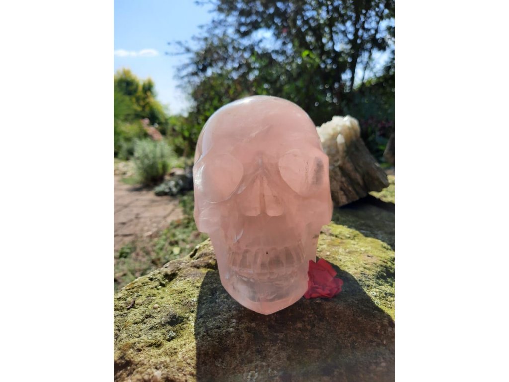 Skull Rosequartz Realistik15cm