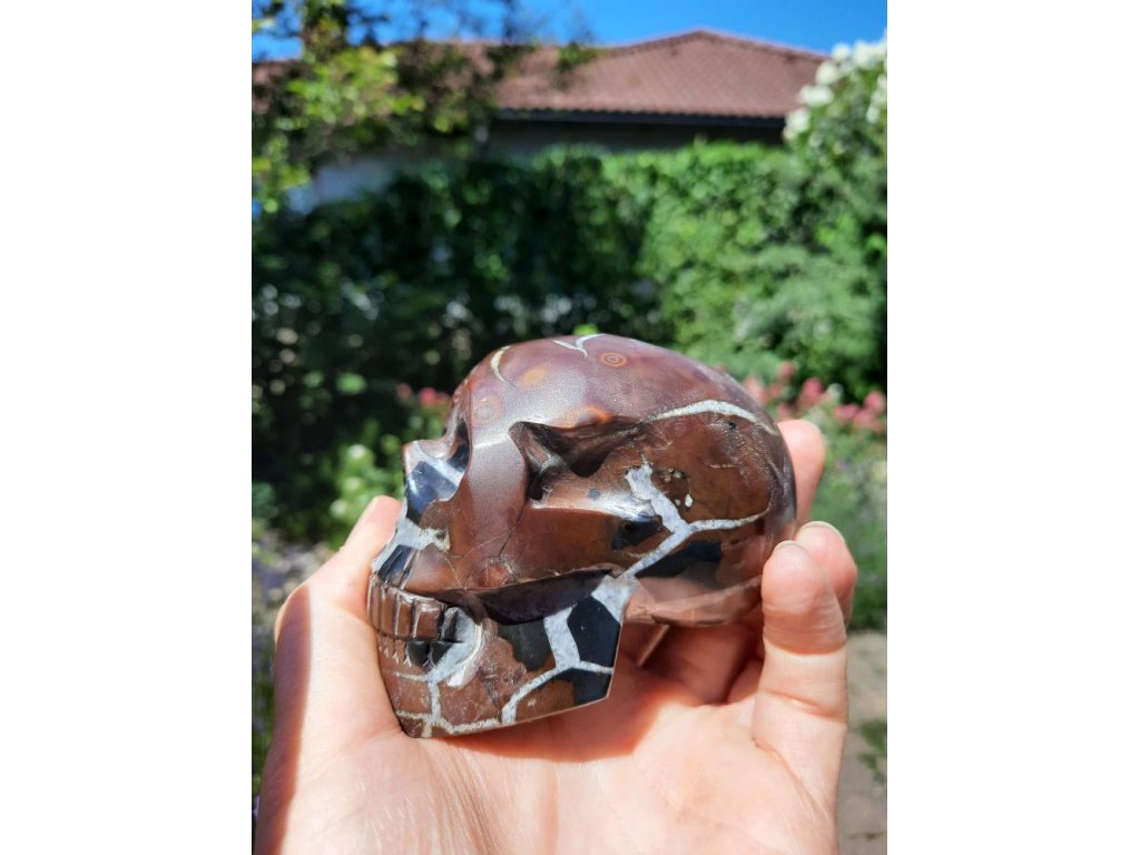 Skull Septaria Calcite with Aragonite 8cm