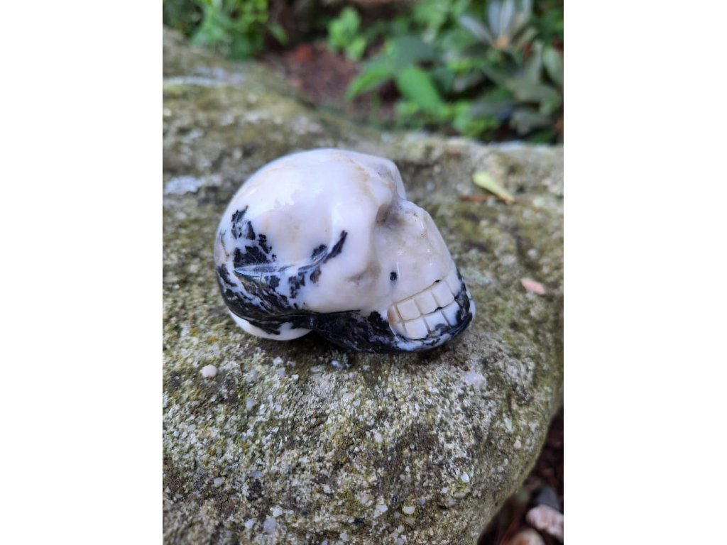 Schädel Zebra Stone Marble 4,5cm