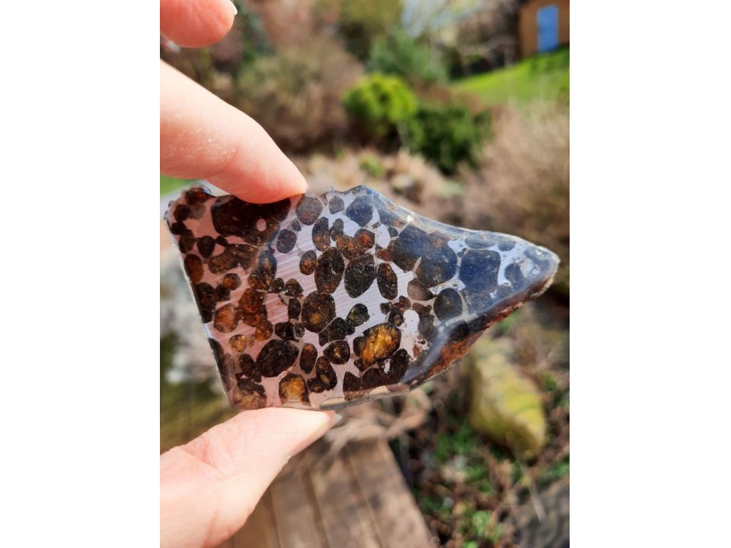 Meteorite Pallasite s Olivin/Epidote Vzácny Vzácny /Rare 7,8cm