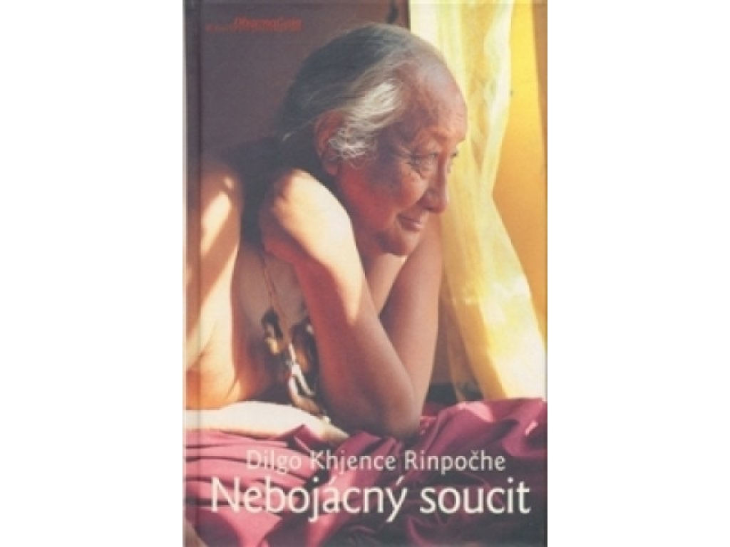 Nebojácný soucit-Dilgo Khjence Rinpočhe