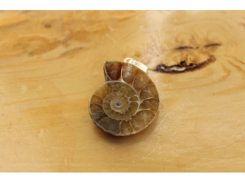 Přivešek,Pendant Ammonite Fossil