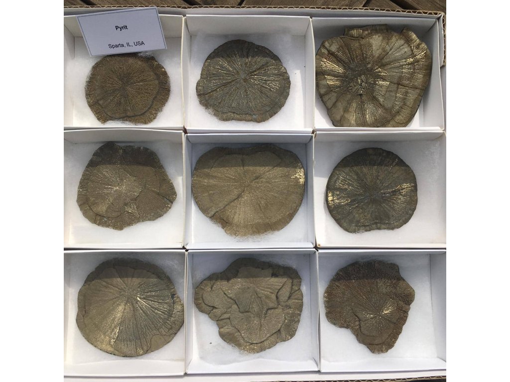 Pyrite slunce 6cm extra