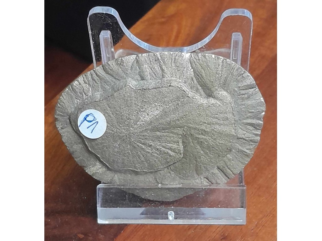 Pyrite Sun Disk 6cm
