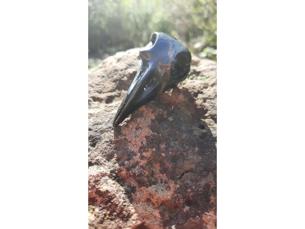 Raven Hawk eyes 6 cm drilled special