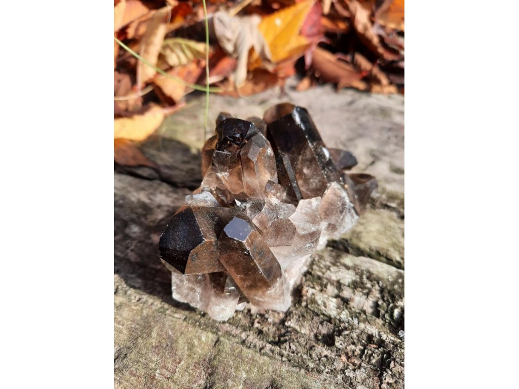 Zahněda drůza/Smoky quartz druze 9cm