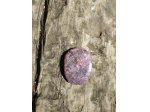 Lepidolite Mydlo Kamen/Soap stone  3cm