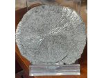 Pyrite slunce/Sun Disk 8cm 