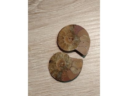 Ammonite Fossil 3cm  pairs