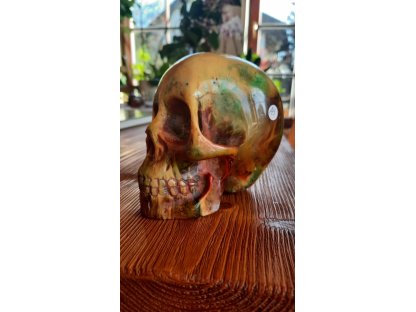 Baby Realistic Amber skull special 11cm