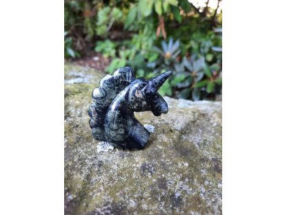 Unicorn Kabamba quartz/algae inclusion 5cm
