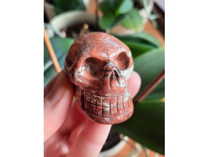 Skull Jasper and Agate 4.5cm Extra