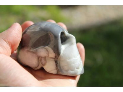 Skull Shell Jaspis with Calcite,Marmor special 5,5cm