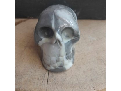 Skull Shell Jaspis with Calcite,Marmor special 5,5cm