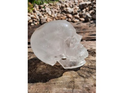 Lebka  Realistik Křistál 12cm