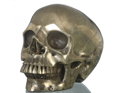 Skull  Realistik  Pyrite 17cm big one