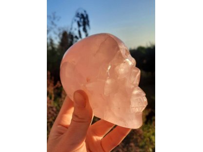 Rose quartz Skull 10cm extra