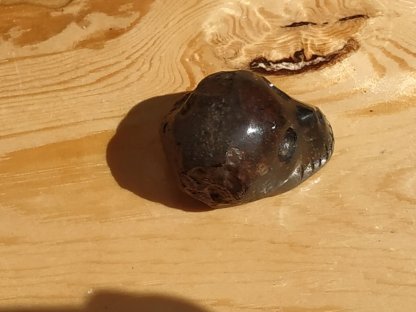 Schädel Chondrite Meteorite 3cm Seltenheit 2
