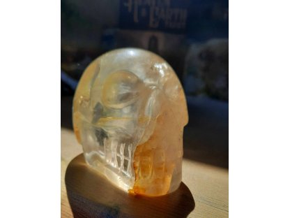 Lebka /Skull/Schädel Golden Healer Crystal/Zlaty lečitel křistál 7cm