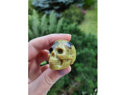 Skull Jasper*Turquoise*3cm 2