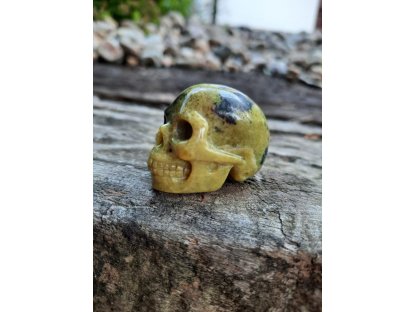 Skull Jasper*Turquoise*3cm