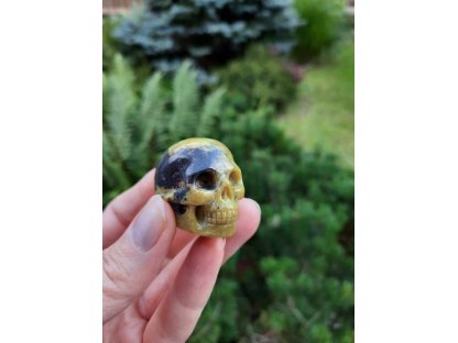 Skull Jasper*Turquoise*3cm