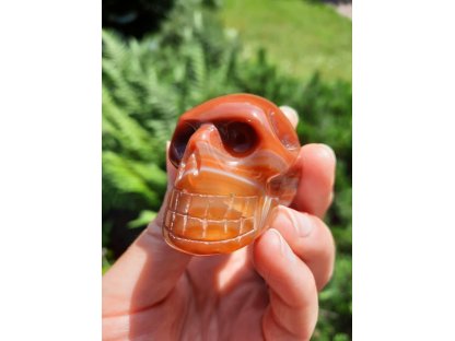 Skull Carnelian 4,5cm 2