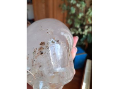 Skull Crystal inclusion 11cm