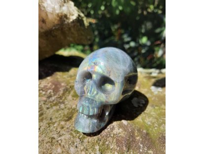 Lebka/Skull/Schädel Labradorite 6,5cm