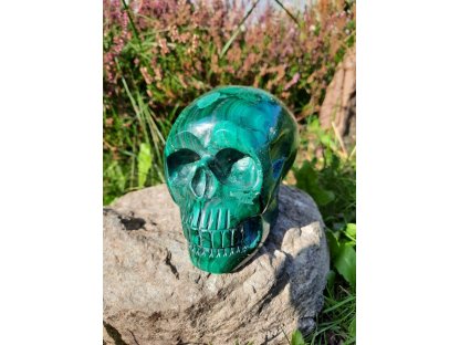 Lebka/Skull/Schädel Malachite XL 10cm extra