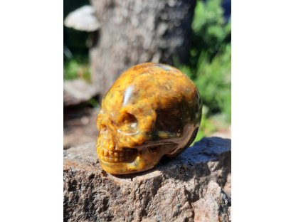 Lebka/Skull/Schädel Pietersite 3cm