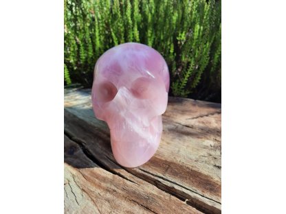 Skull Rose quartz 11cm 2