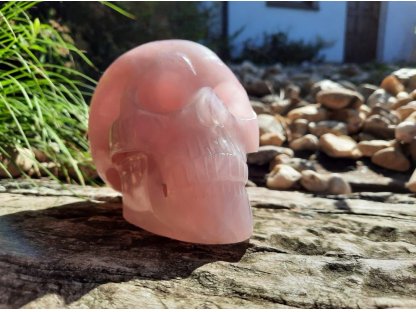 Skull Rose quartz 11cm