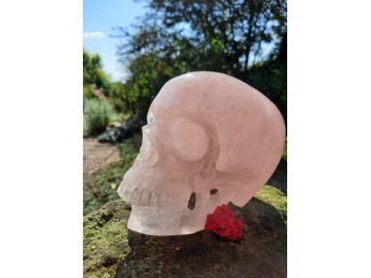 Skull Rosequartz Realistik15cm