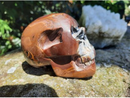Skull Septaria Calcite with Aragonite 8cm
