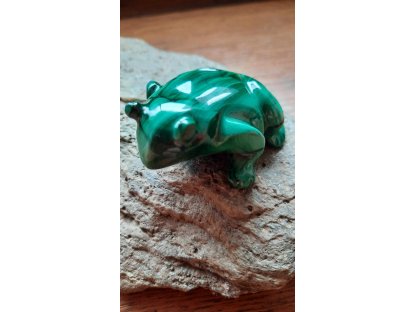 Malachite Frog  6cm