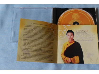 Medicine Tree CD -Medizin Buddha gebete /CD mantra/Ani Wangmo 2