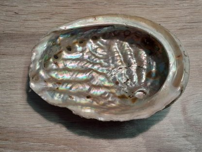 Mušle /Muschel /Abalone smudging přirodni/natural 15cm