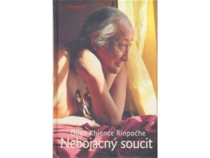 Nebojácný soucit-Dilgo Khjence Rinpočhe