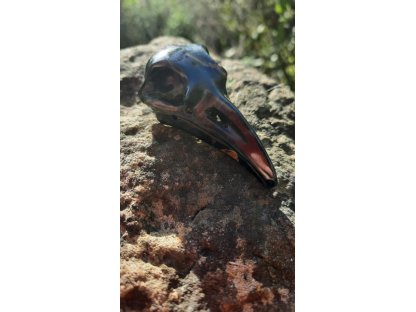 Raven Hawk eyes 6 cm drilled special 2