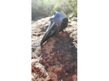 Raven Hawk eyes 6 cm drilled special