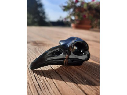 Raven Hawk eyes 6 cm drilled special