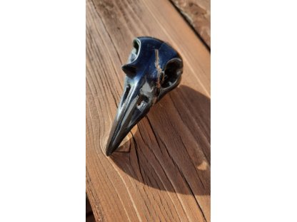 Raven Hawk eyes 6 cm drilled special