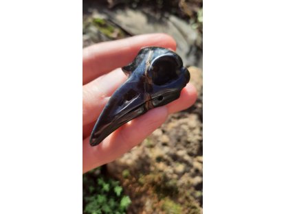 Raven Hawk eyes 6 cm drilled special