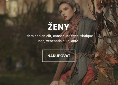 Ženy