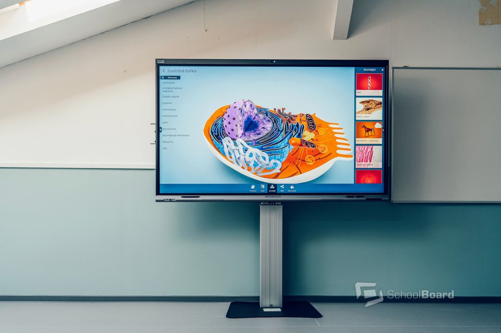 Řada PREMIUM 65″, 75″, 86″, 98″