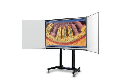 Řada PREMIUM TRIPTYCH 65″, 75″, 86″