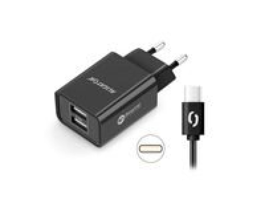 ALIGATOR Chytrá sítová nabíjecka 2.4A USB-C cerná (CHA0042)