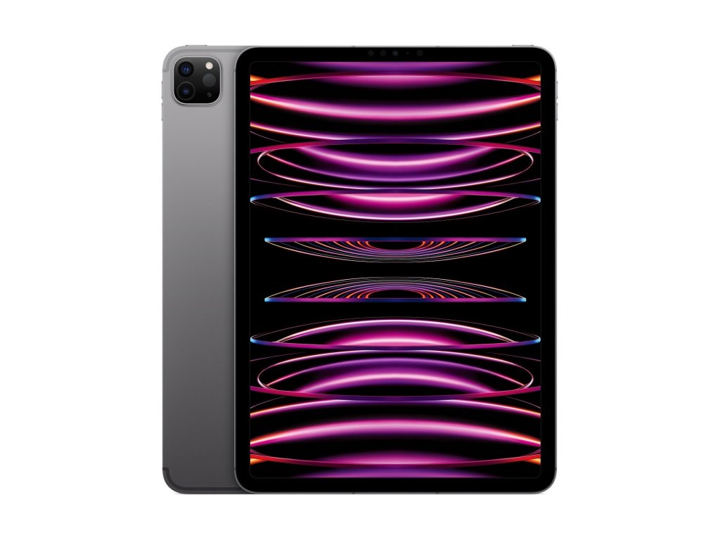 APPLE iPad Pro 11" Wi-Fi + Cellular 2TB - Space Grey (MNYL3FD/A)